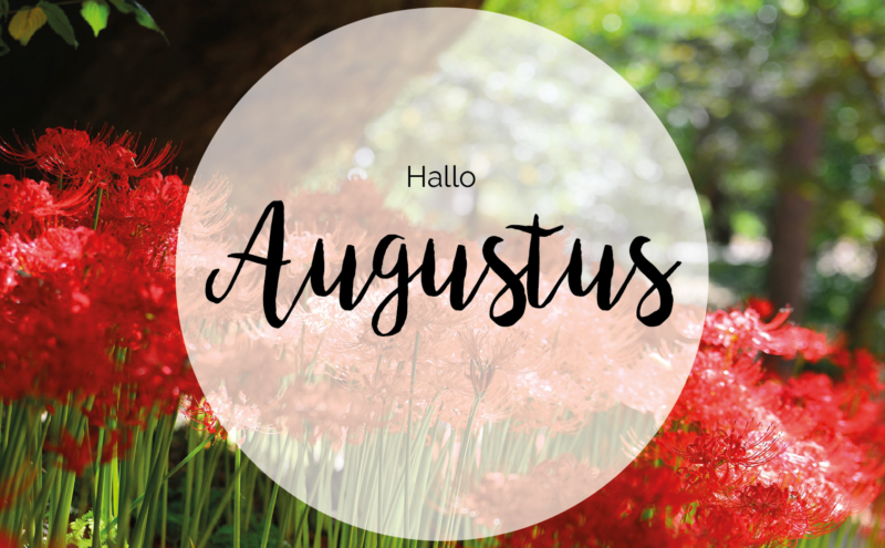 Lonen en indexaties maand augustus 2024