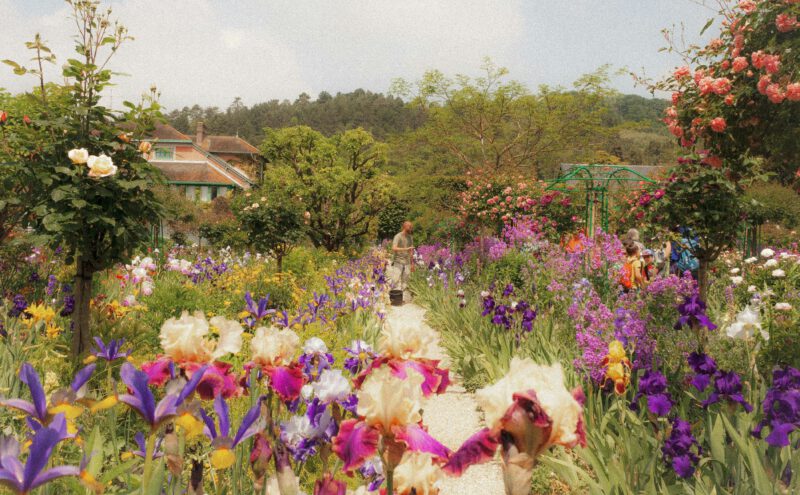 Flitscontrolemaand september voor de groene sectoren