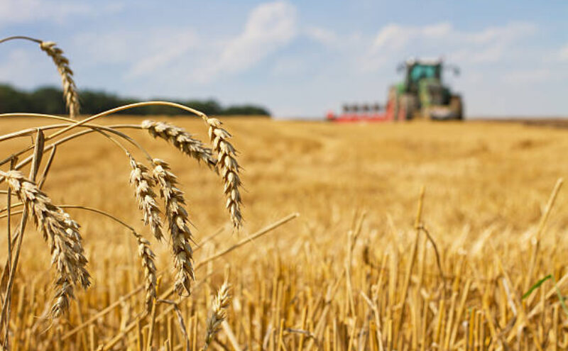 Eerste aanvragen tot opt-out flexi-jobs!